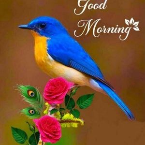 Meet your Posher, Rupali